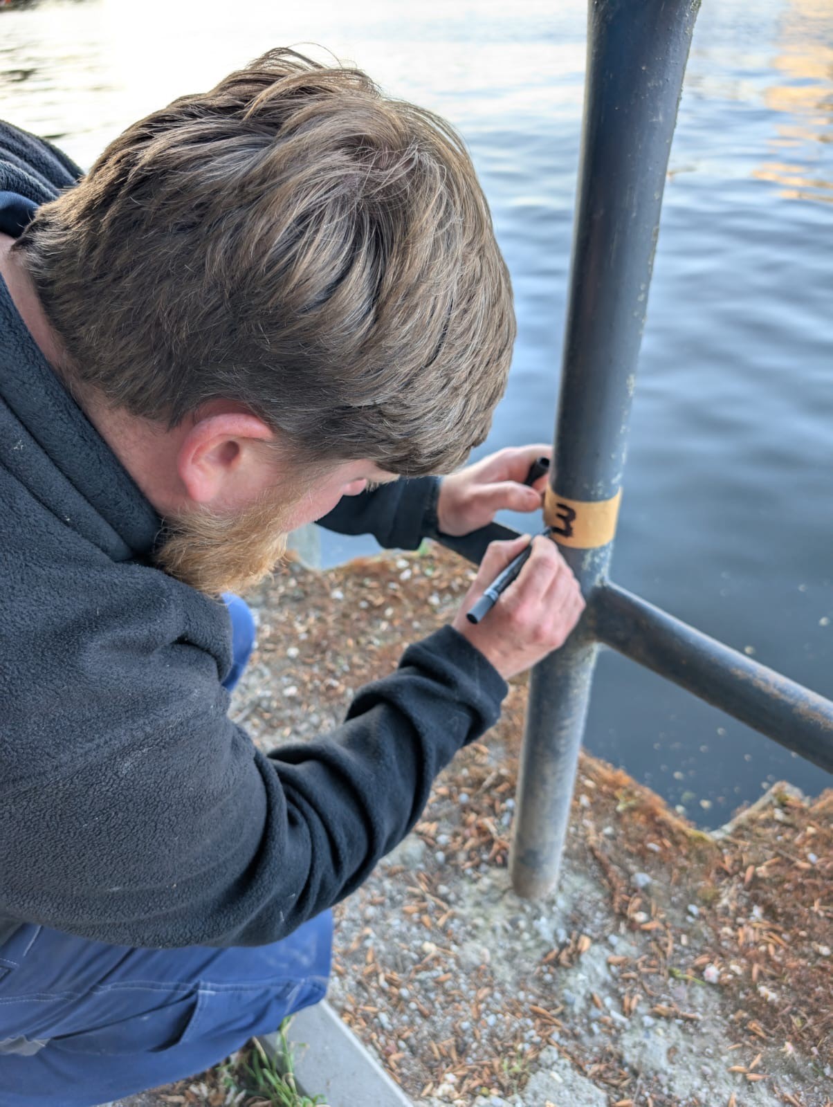 Vorbereitung Hegeangeln